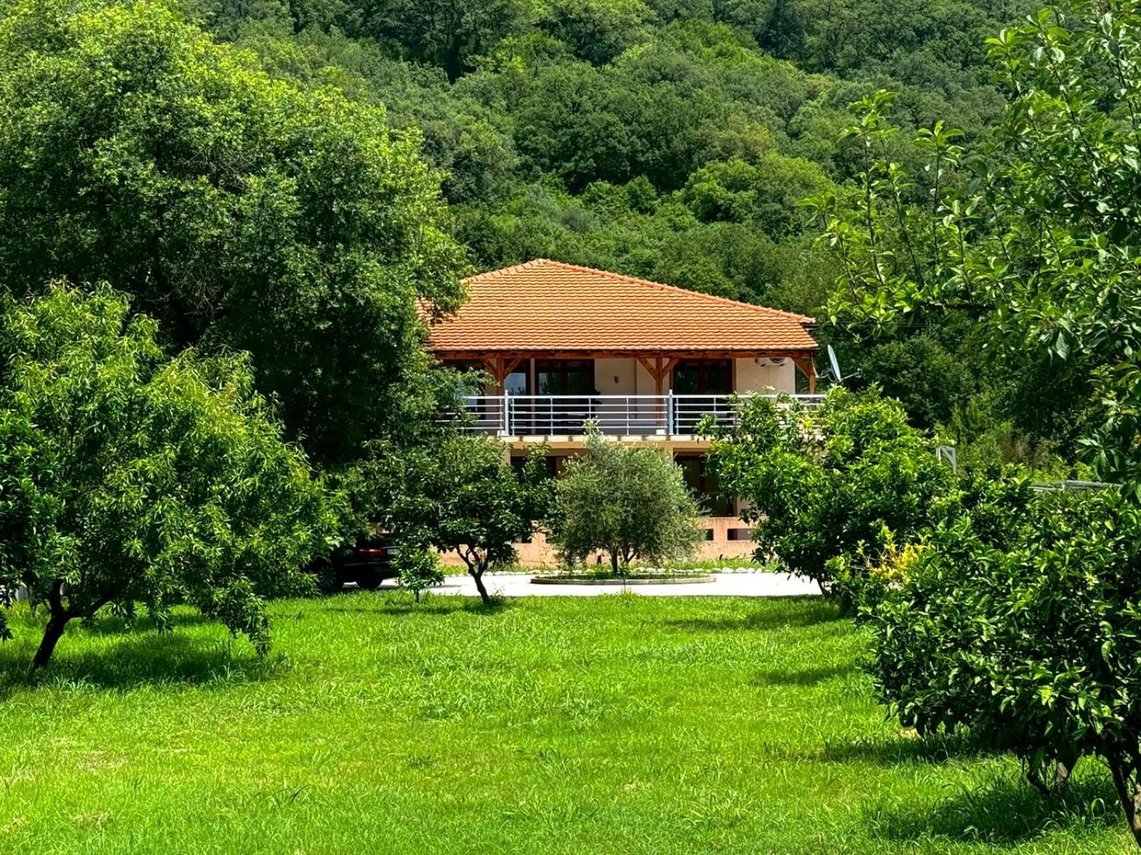 Stars Residence Petrovac 外观 照片